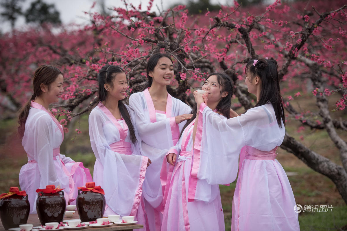 广东连州桃花节 古装女大学生花间吟诗吃酒-南京网络教育