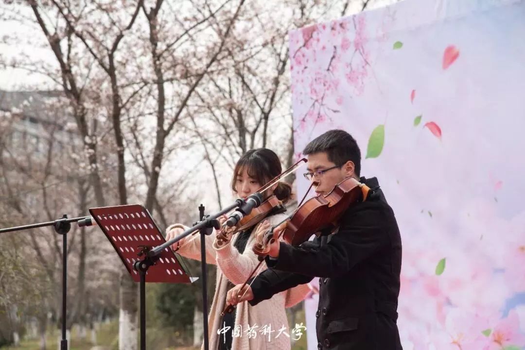 南京网络教育盛世嫡妃 凤轻 小说,古风君子以泽,盗墓笔记