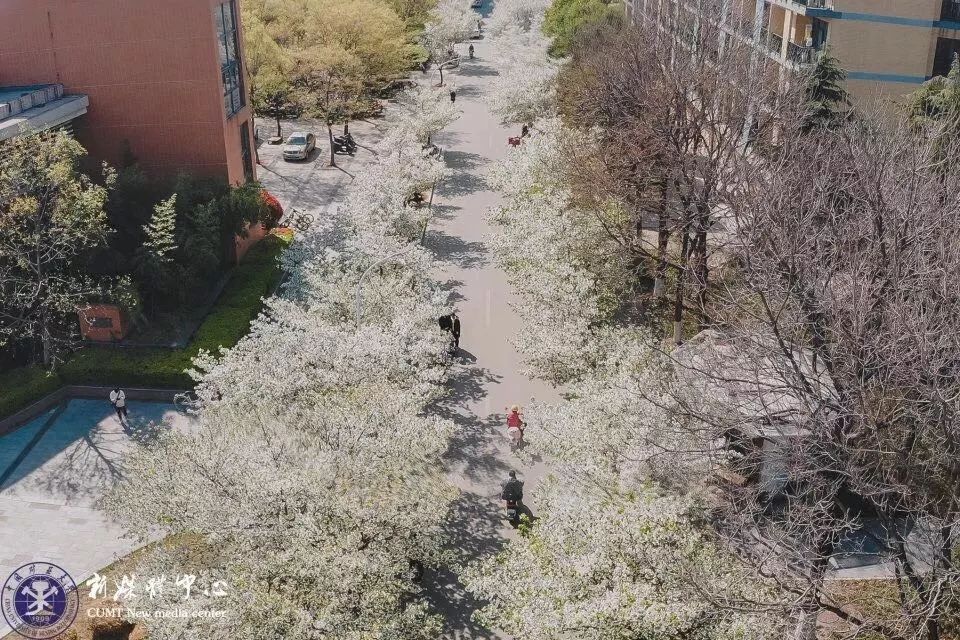 南京网络教育盛世嫡妃 凤轻 小说,古风君子以泽,盗墓笔记