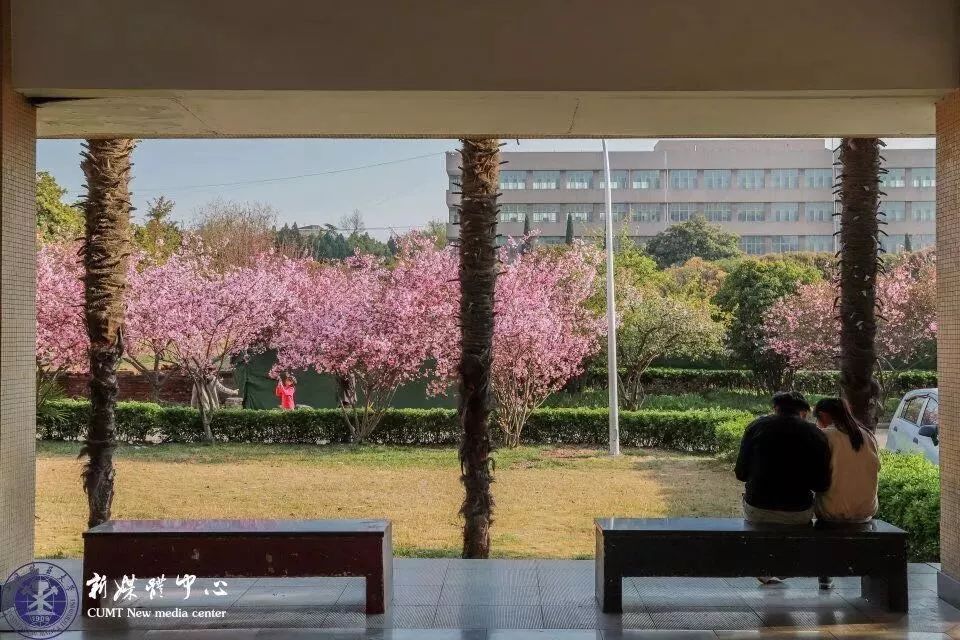 南京网络教育盛世嫡妃 凤轻 小说,古风君子以泽,盗墓笔记
