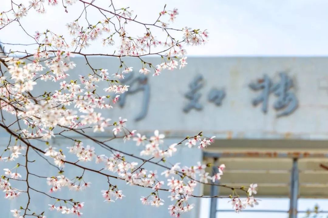 南京网络教育盛世嫡妃 凤轻 小说,古风君子以泽,盗墓笔记