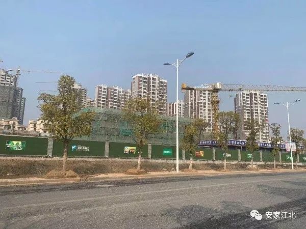 南京网络教育欢乐颂小说txt,怎么写网络小说,大主宰 天蚕土豆 小说
