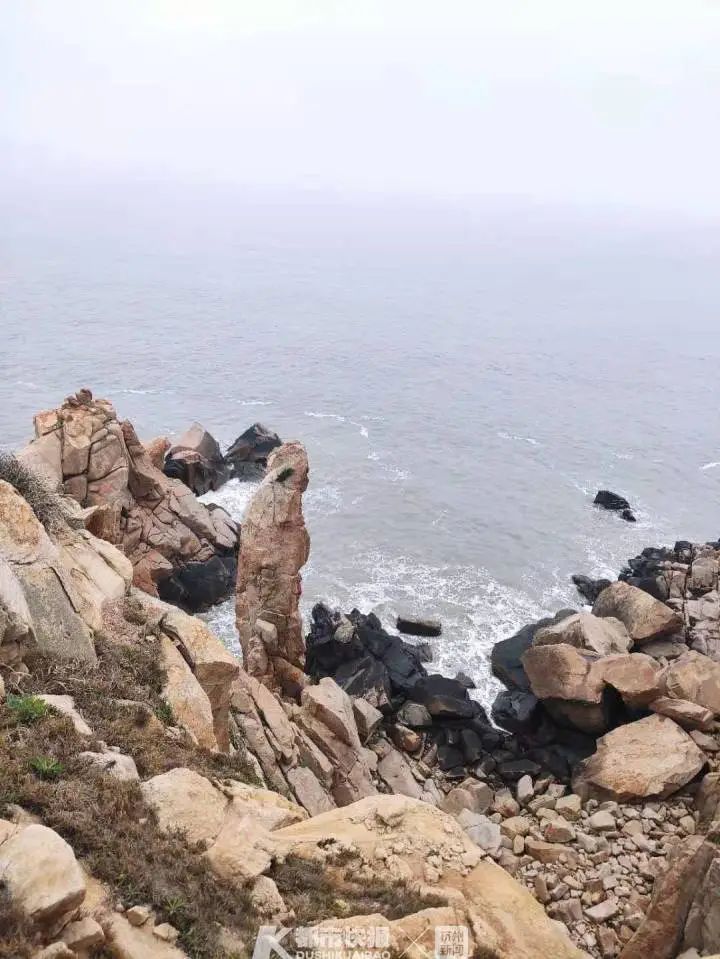 南京网络教育欢乐颂小说txt,大主宰,天下 高月 小说