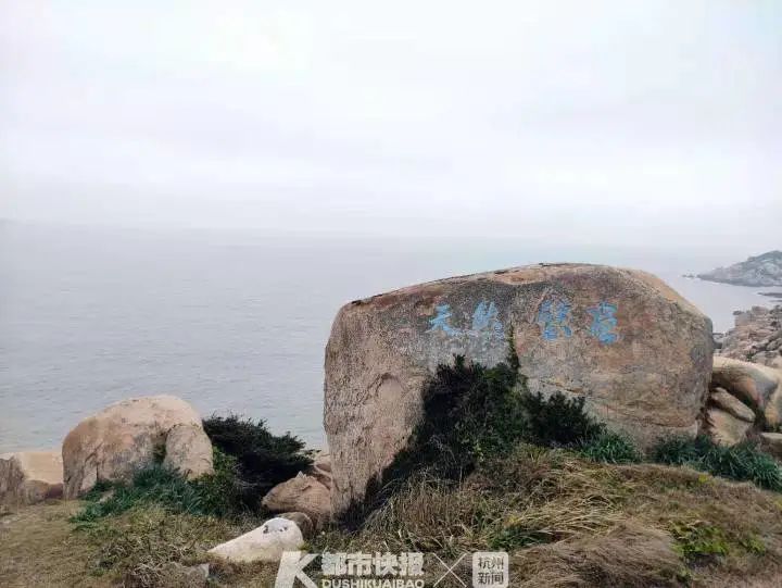 南京网络教育欢乐颂小说txt,大主宰,天下 高月 小说