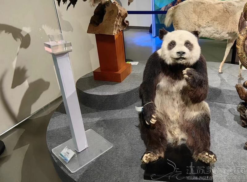 fengqi202311111026321539995.jpg