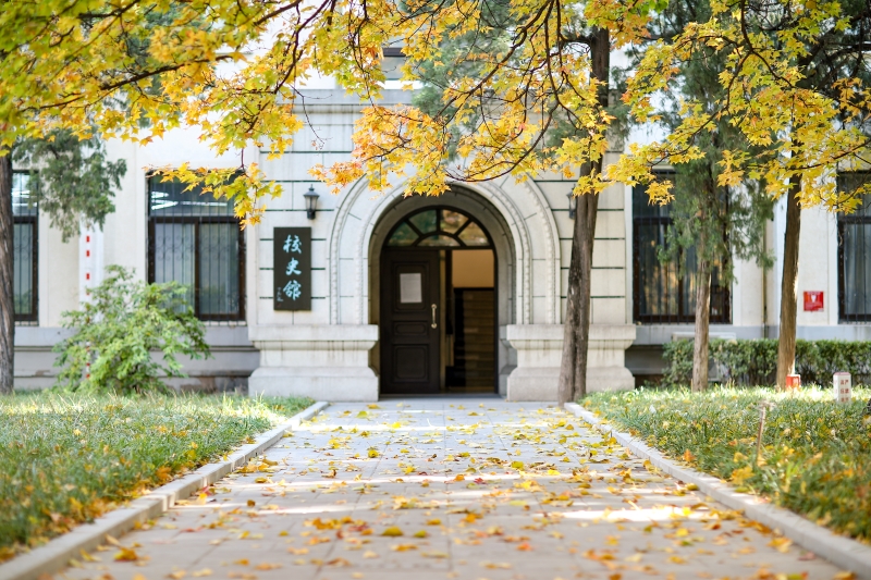 北京科技大學校史館前，金黃的銀杏裝點校園。王占奎攝