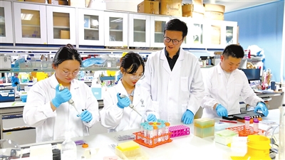 教育驱动 “湾”象更新——教育服务粤港澳大湾区建设纪实