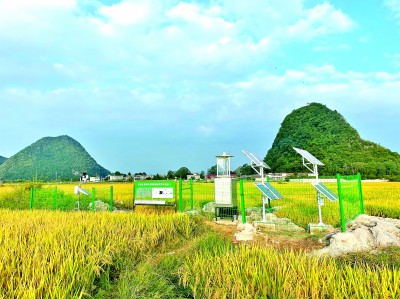 科技吹“新”風(fēng) 田野繪“豐”景——貴州貴陽探索智慧農(nóng)業(yè)發(fā)展新路徑