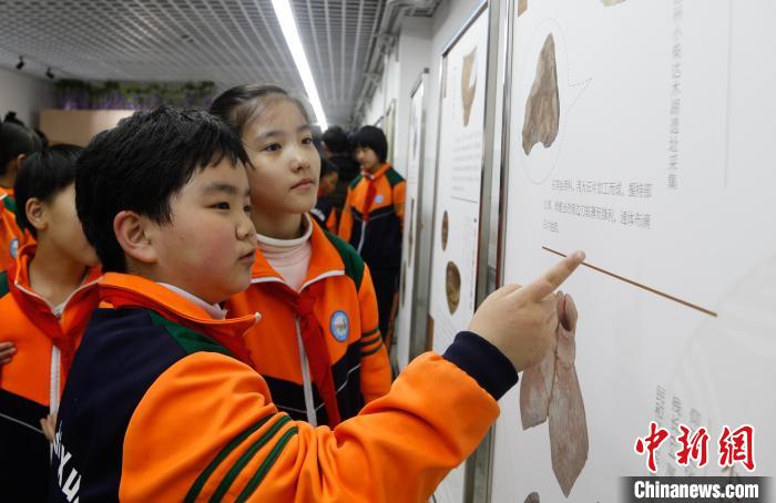 青海省博物館展覽進校園學生近距離了解青海歷史文化