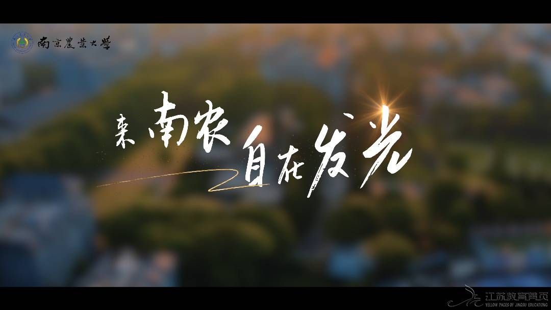 無標題.jpg