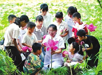 賞荷花 學知識