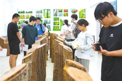 在自然中學習成長