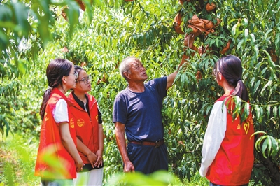 返乡实践提升素养