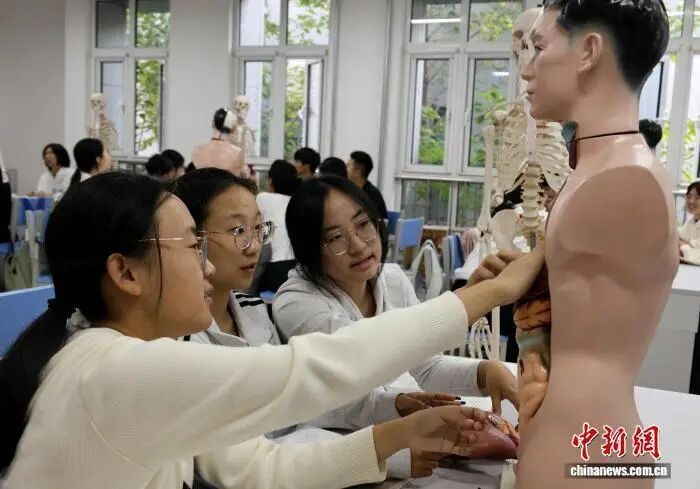 大学开设“带娃”专业,学什么?去哪里就业?