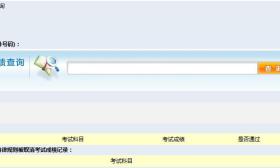 证券从业资格考试成绩查询解析专题