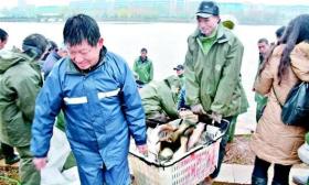 武科大沁湖捕魚兩萬斤 學生可憑票免費吃紅燒魚塊