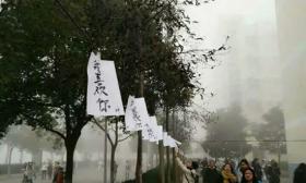 白纸黑字表白信挂校园 这是为啥？