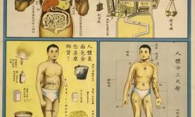 人体似工厂，民国这样宣传儿童生理卫生（组图）