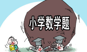 数学基础教育不足：注重成绩、强调技巧和死记硬背