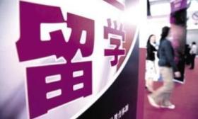大学生青睐出国留学 渴望拿高学历但不想考研