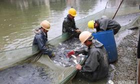 组团：高校湖内捞出3000斤鱼 请师生免费吃
