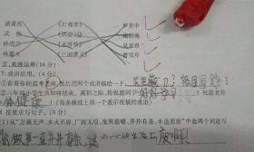 大学餐厅吃饭前做奥数题 老板:小学四年级题目