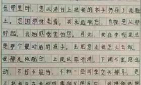 小学生被打后千字记录内心独白续:学校公开致歉