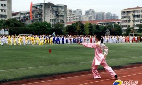 2017南京青少年阳光体育节开幕 龙狮表演惊艳校园