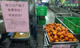 陕西一所高校向师生免费发自产柿子 还曾发枇杷