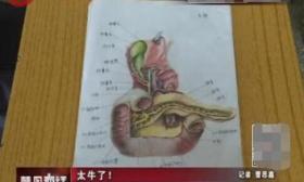 卫校女生手绘人体解剖图走红 课堂笔记美到惊叹