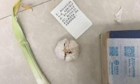 男生寄巧克力表白被回寄1葱1蒜:你“蒜”哪根葱