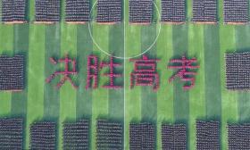 河北衡水多所高中提前开学 学生联合举报获回应