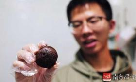浙大博导召集修为较高内丹修炼者实验:已选7人