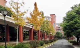  燕子矶中学、建邺高级中学发布学科竞赛和科技特长生招生方案