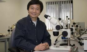 高华健、张锋等6名旅美学者当选美国科学院院士