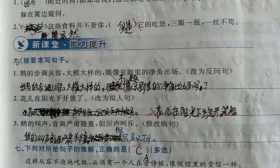 小学生改句子，错误率60％？语文比数学还难！
