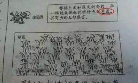 小学生奇葩告白信红遍网络，网友：新一代的段子手诞生了