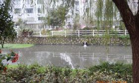 台州小学生写信反映水污染，市委书记批示：立即调查核实