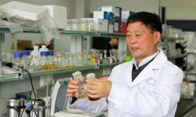 南京大学田大成教授：一个“奇思妙想”，揭开遗传突变奥秘