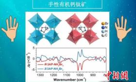 东南大学科研团队制备出无金属钙钛矿型铁电体