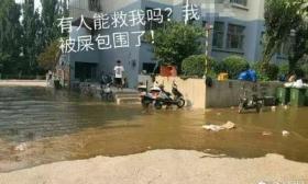 南昌大学化粪池炸了？学生表示臭昏过去…