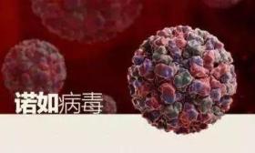 多地学校停课！这种病毒进入高发期，尚无疫苗和特效药……家有孩子要注意！ 