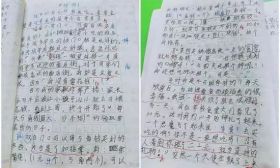 “可怜啊！每天才5毛零花钱”又一篇小学生作文火了！哈哈哈