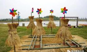 南林学子“稻”梦空间 将课堂搬到田野