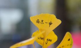 南京校园秋色榜①