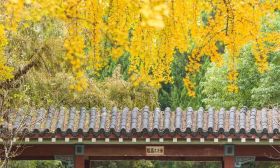 2018中国大学百强榜发布啦！南京七所高校上榜！