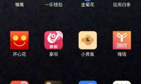 女大学生“以贷养贷”，70余平台借款20多万