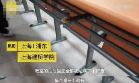 捐一次可得3万元？卖卵、捐卵究竟毁了多少中国女大学生？