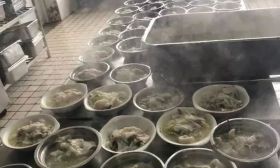 南信院免费吃锦鲤？！南京其他高校同学：又是别人家的学校！ 