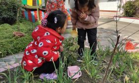海安市章郭幼儿园：春回大地，守护草木莺莺 